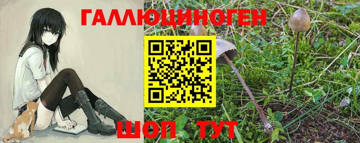 Галлюциногенные грибы Россия