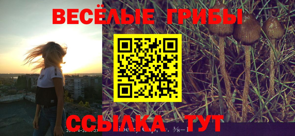 Россия  Галлюциногенные грибы Psilocybe  наркошоп  Вход с VPN  Псилоцибиновые грибы Psilocybe 